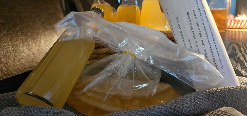 Cultura Kombucha (SCOBY) + starter ceai 100% natural – kit complet