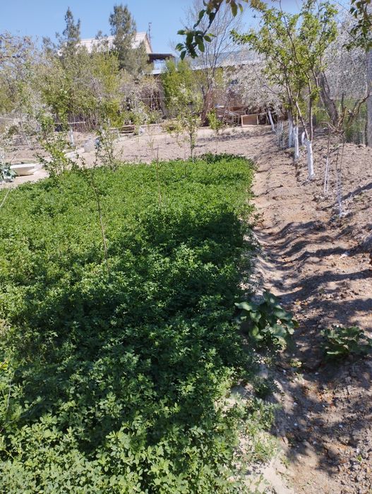 Продается Дачный участок