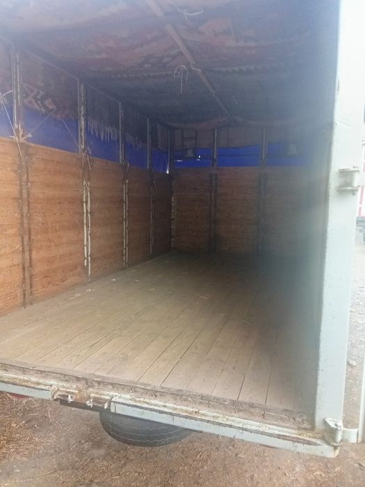 1998 qolgan maʼlumot tilfnda