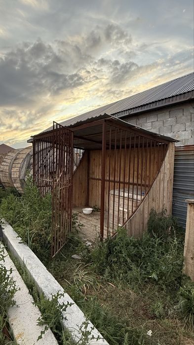 вольер для собаки