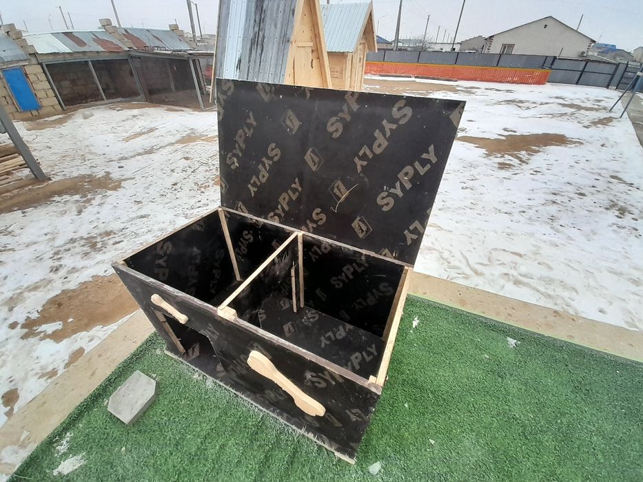 Иттің ұйымы салылады