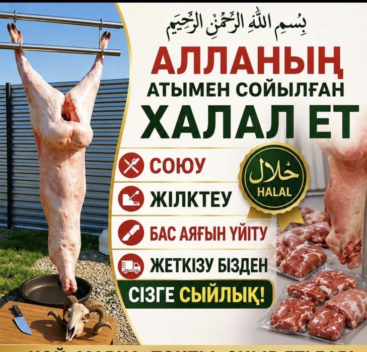 Қой  сатылады. Продается баран
