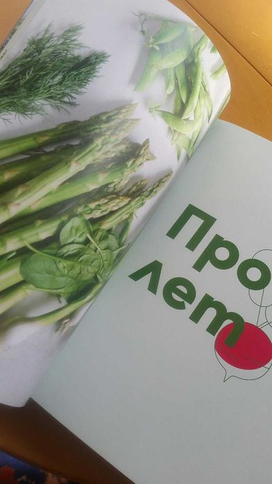 Книгата на шеф Манчев