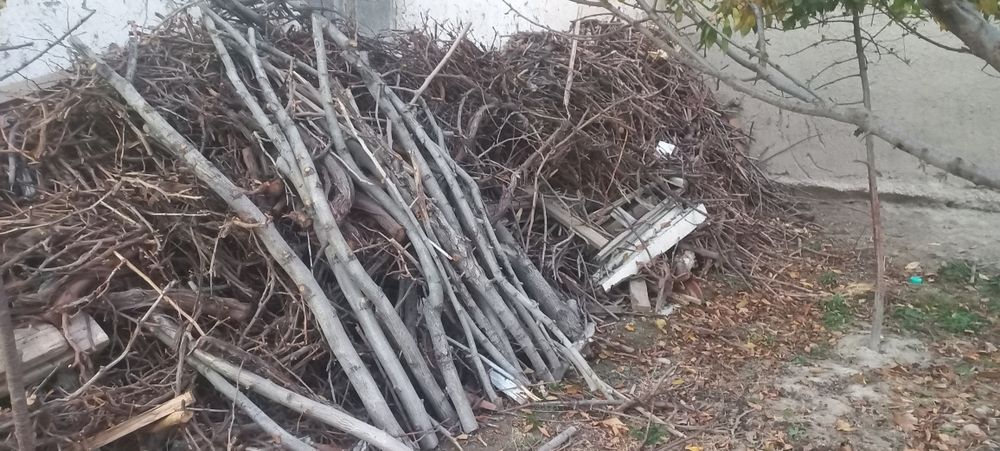 O'tin sotiladi, har xil, aralash