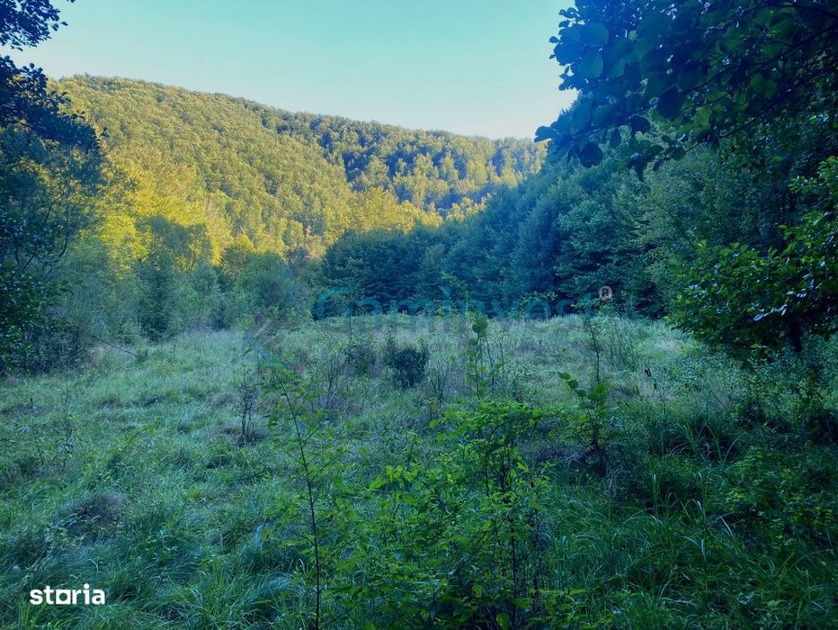 Teren de 1000 mp intravilan, Valea Finisului, Bihor, @Gaminvest, V4232