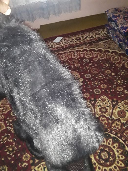 Жакет сотилади аёлларники