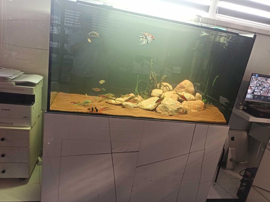 Изготовление аквариумов.