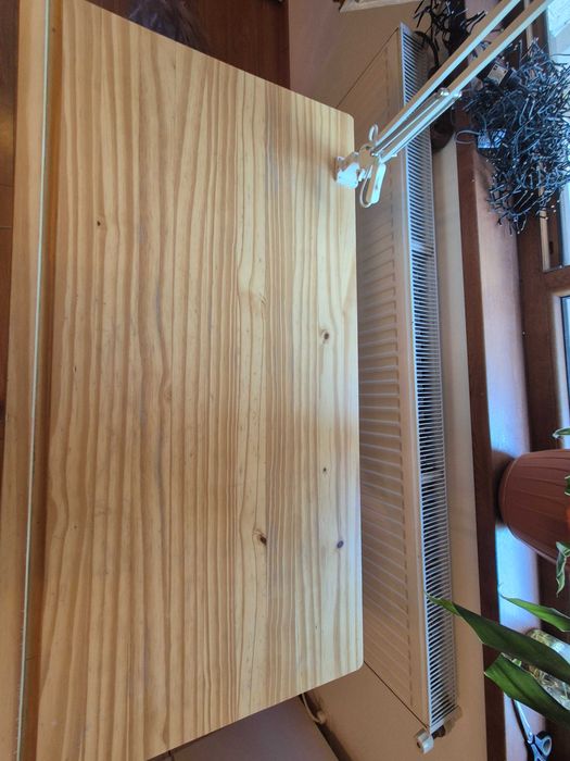 Birou lemn copii reglabil, pin lacuit