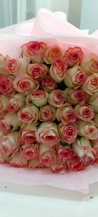 Срочно продам букет Роз (53 шт)