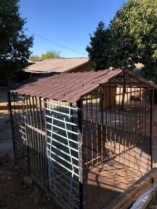 Домик собочек