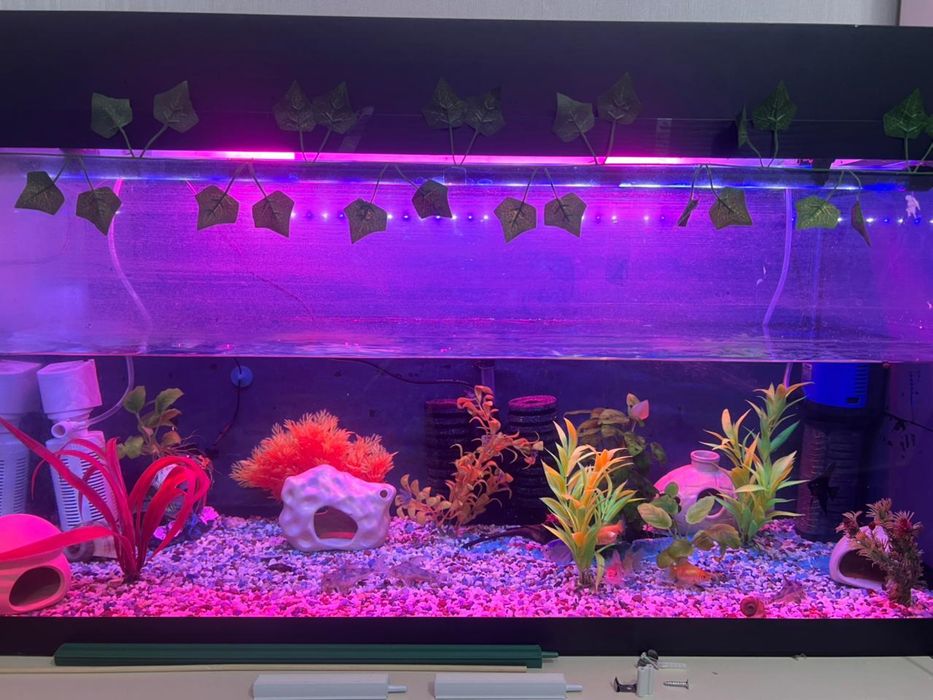 Аквариум на 150 л