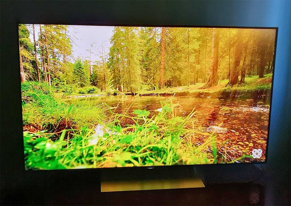 Televizor 4K Sony Bravia 55XE9005 - 138.8 cm, Smart Google TV