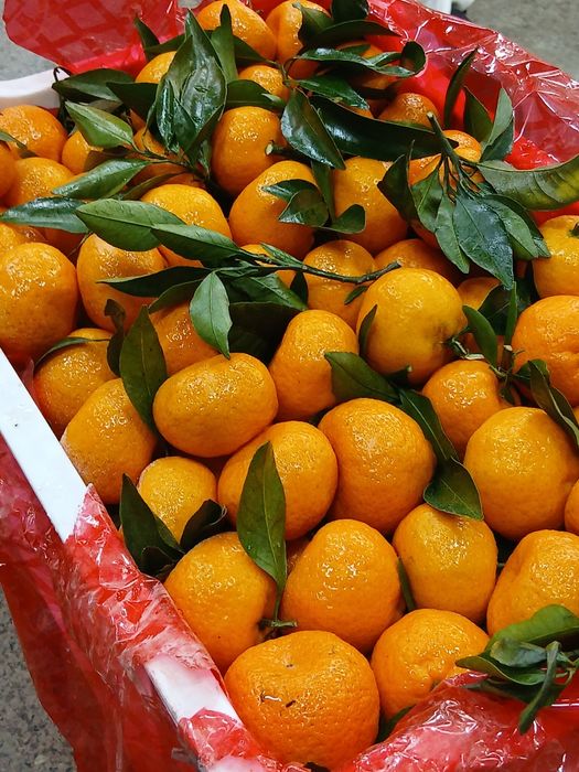 Мандарин Ящик 4500