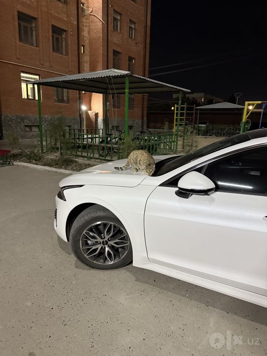 Kia K5 Style+ Full в отличном состоянии.