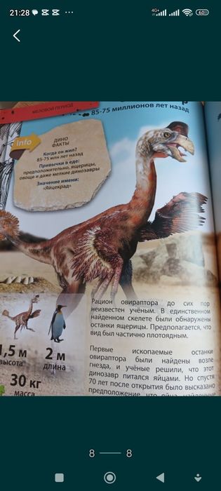 Энциклопедия книжка драконы 4 D
