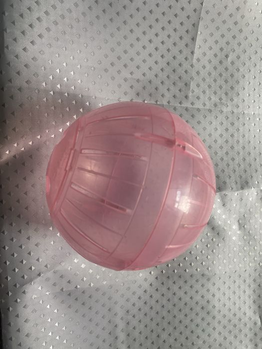 Шар прогулочный для хомяка.