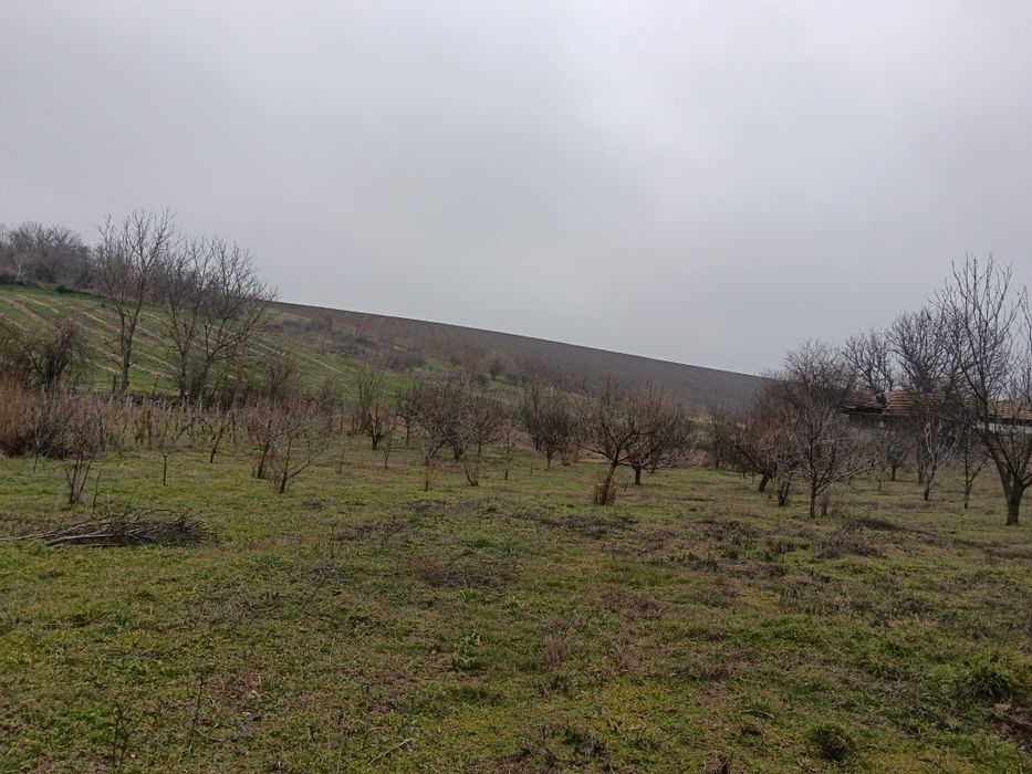 Къща в центъра на с. Сяново