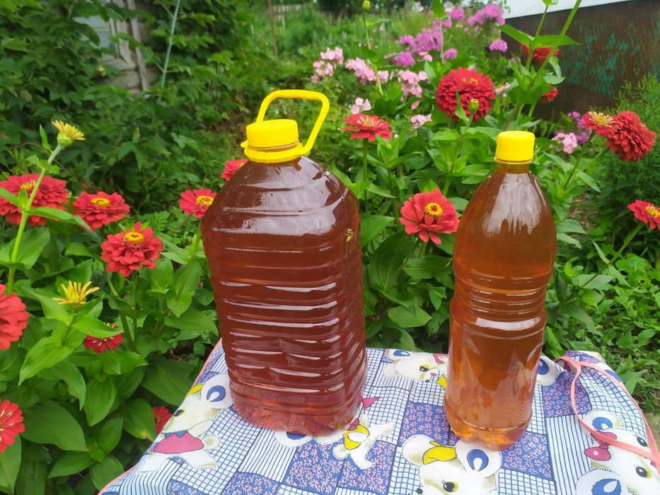 Мёд . Расторопша с подсолнухом.