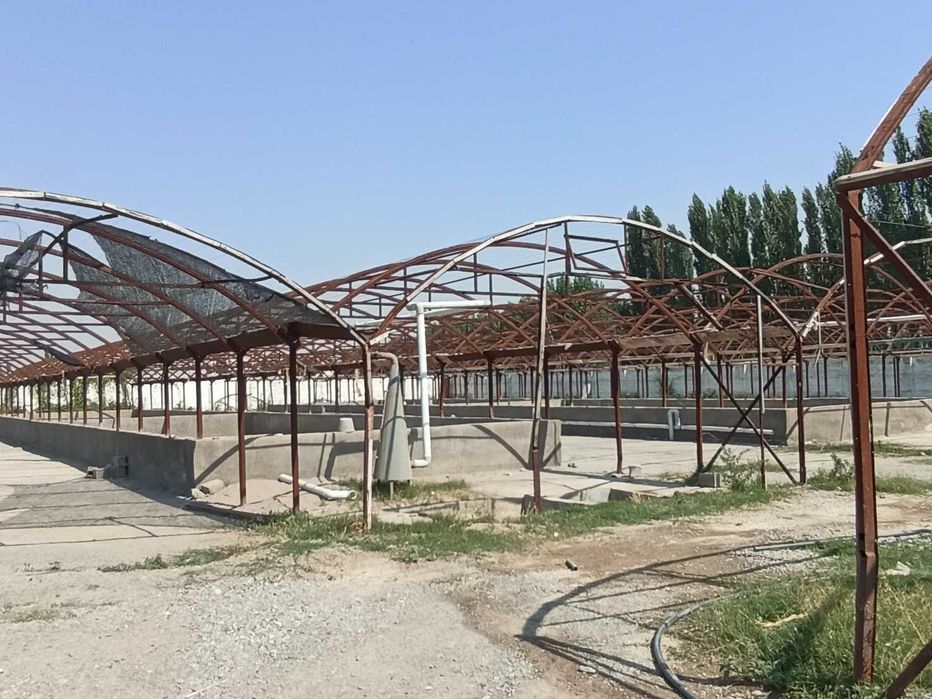 Issiqxona omborxona va yordamchi xo`jalik