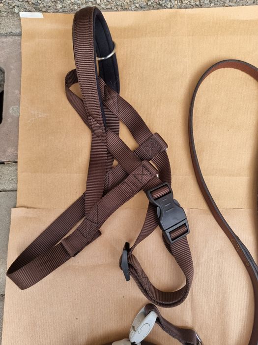 Minge joacă câine 15 cm