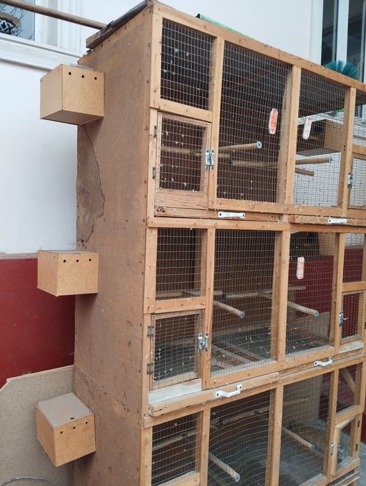 Qushlar uchun qafas sotiladi 6 tali