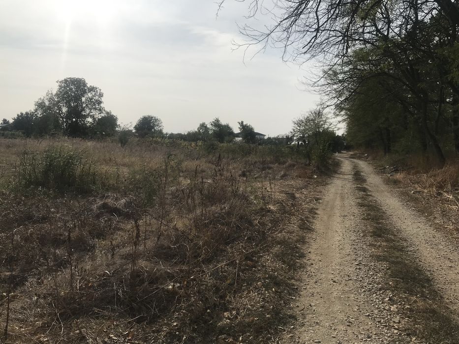 Teren intravilan Magurele Ilfov