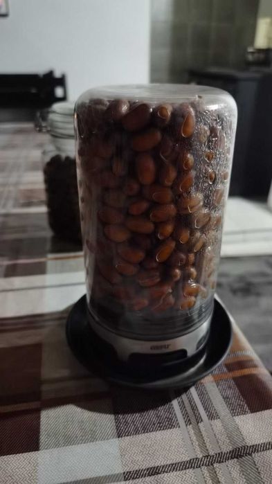 Палма - финикова 
Студоустойчивост до -10