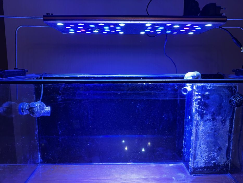 Vand Lampa led Evergrow AquaOcean IT 5060