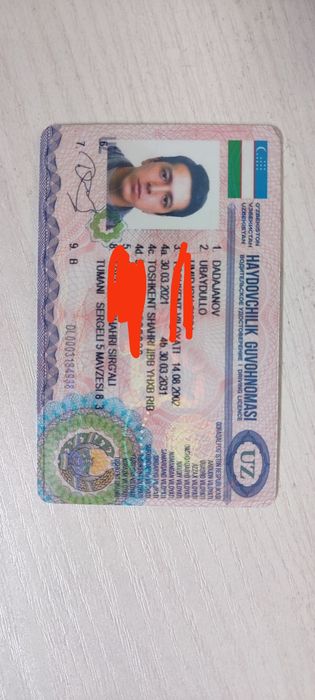 Трезвый водитель