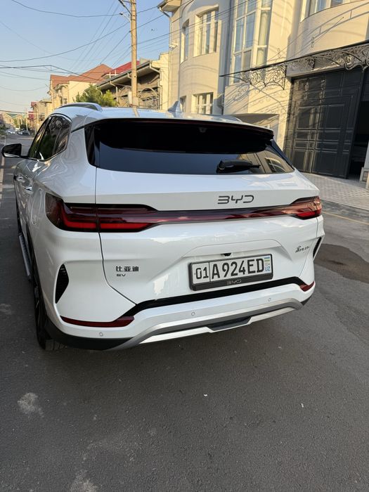 BYD chempion smart 2025