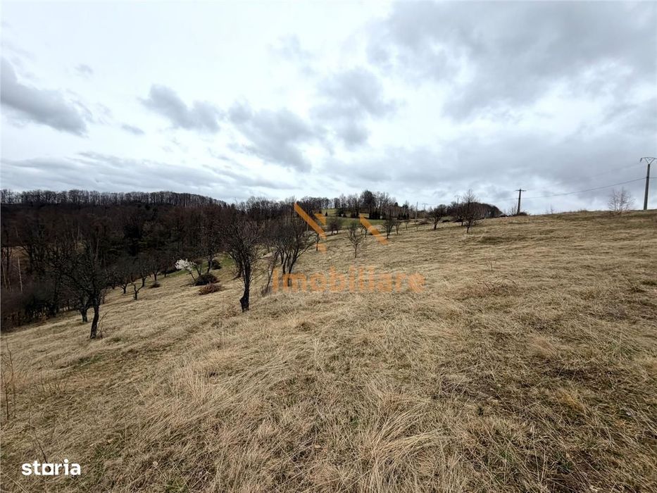 Teren 34.000 Mp | Serani Bihor