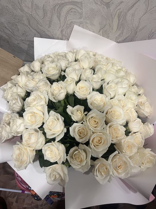 101 роза сегодняшнее