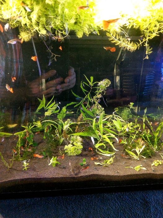 Аквариум 125 литров