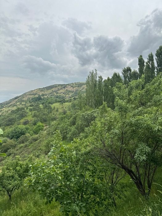 Продаю дачу со всеми удобствами, не доезжая бочки в природной местност