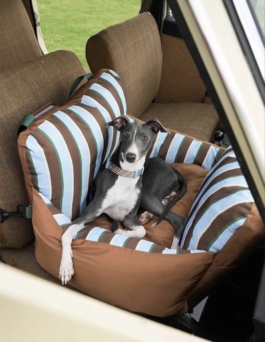 Переноска для кошек и собак