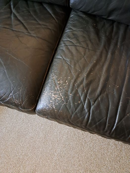 Кожен диван с лежанка