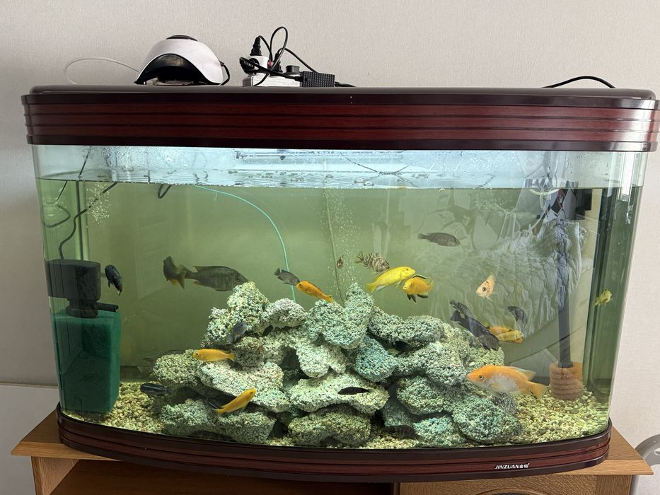 Заводской аквариум на 420 л