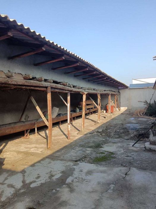 Уйга керакли насалар