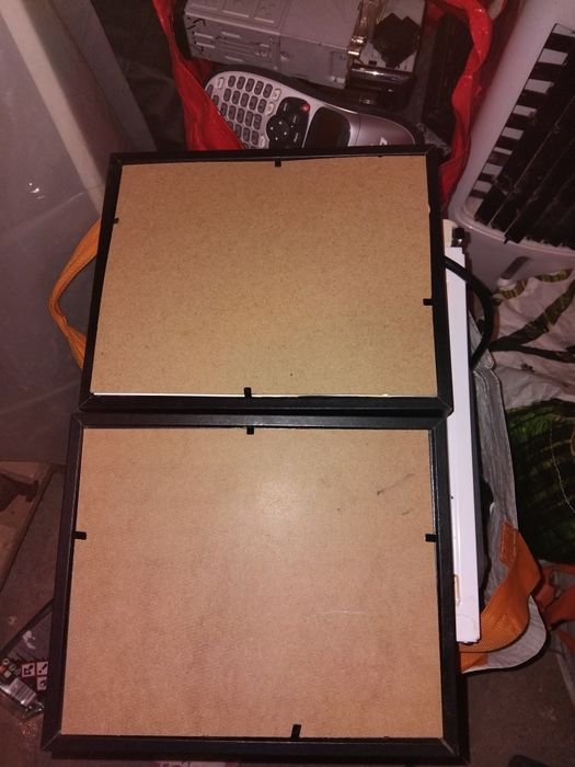 Стенни картини с сухи цветя