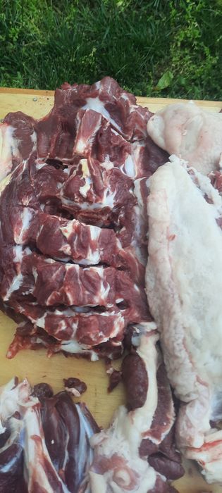 Кассоб хизмати , Кассоб Сервис, Куй суйиш / Qassob Servislar Qo'y So'y