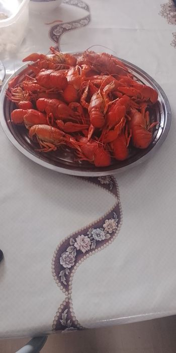 Живые Раки продажа