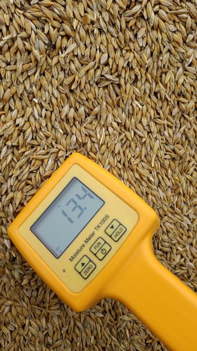 Продам ячмень сухой