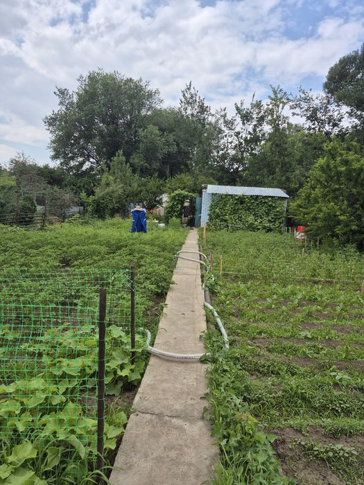 Продам дачу на Кривом озере