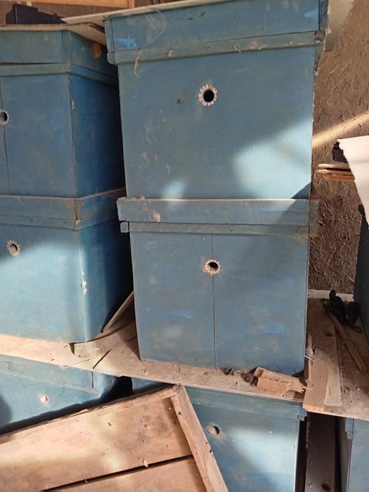 Asal ari yashigi yangi