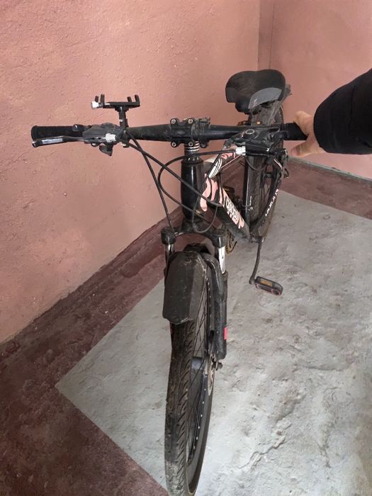 Veloseped oʻzim haydaganman