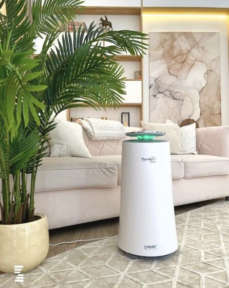 Очиститель воздуха Zepter Therapy Air