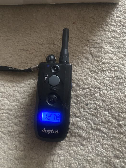 Dogtra Element 302m 300€ telecomnda dogtra 150€ dogtra iQ 150€