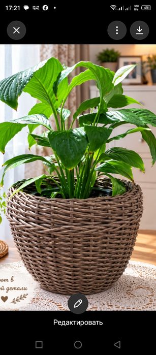 Кашпо из ротанга.