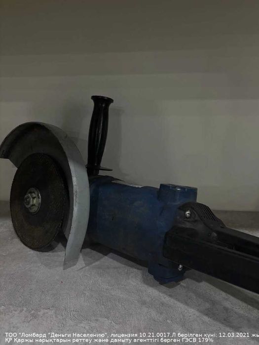 Болгарка Лепсе Петропавловск Жабаева 131 лот 860116