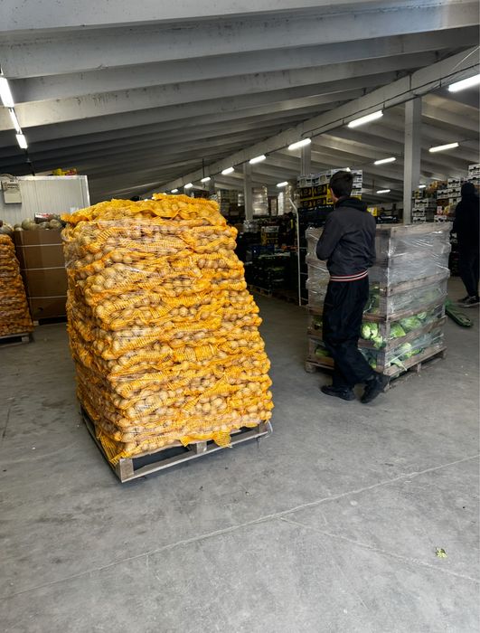 Картофи сорт сорая – фракция 50+